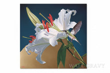 Load image into Gallery viewer, Painting of a hummingbird on white lilies with red stamens against a blue and beige background
